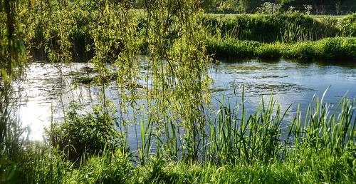 sunlight english water river wiltshire avon englan eastchisenbury chisenbury