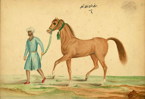 001 Un caballo saludable- Walters manuscrito W.661- fol 97a-The Art Walters Museum