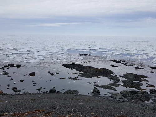 scenery newfoundland ocean ice