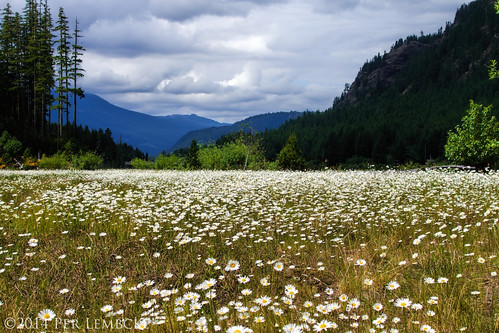 landscape sony daisy strathconaprovincialpark buttlelake rx100m2