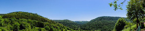 blue sky panorama tree green pine forest landscape day clear 28 vosges d800 2470