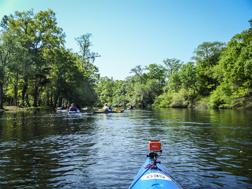 river georgia kayaking swamp paddling lcu ogeecheeriver lowcountryunfiltered