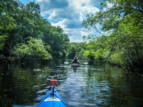 river georgia kayaking swamp paddling lcu ogeecheeriver lowcountryunfiltered