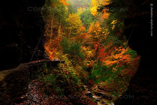 statepark autumn newyork fall nature colors print landscape outdoors photography view hiking fineart hike canvas foliage trail photograph gorge unusual watkinsglen watkinsglennewyorkunitedstatesny