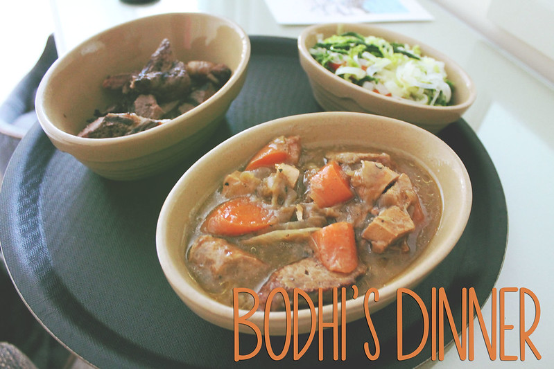 Bodhi's Dinner