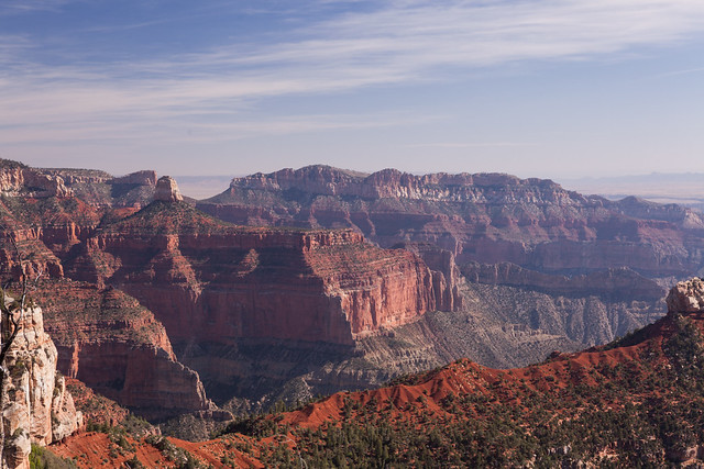Grand Canyon -Kaibab Plateau