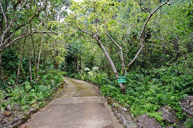 Garden trail