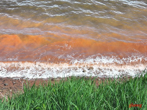 park red hot water high tide may cape blomidon 2014