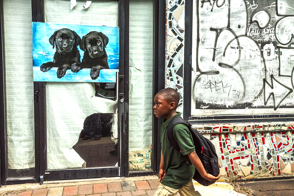 Image-of-puppies-on-door-of-out-of-business-store--Near-South-Street