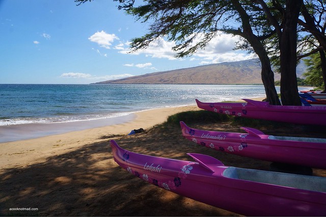 7 days on Maui, Go, See, Write