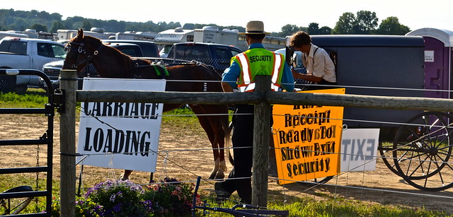 Parking Attendent for carriage loading at Amish Auction Lancaster County PA