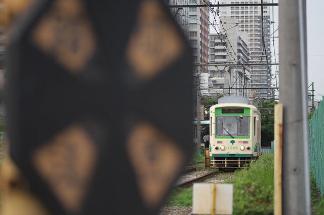 Tokyo Train Story 都電荒川線 2014年7月6日