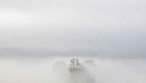 uk sky cloud mist tree field fog wales landscape grey britain farm cymru cardiff newport caerdydd glamorgan agriculture minimalist gwent wentloog gwentlevels stevegarrington wentlooglevels
