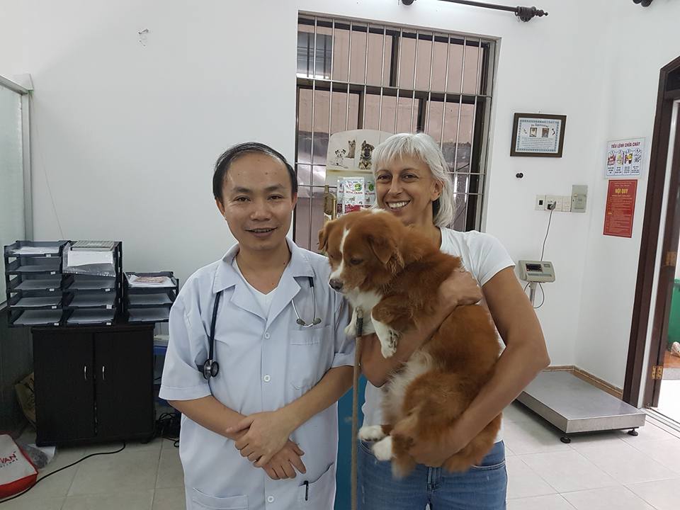 Phòng khám thú y Saigon Pet Clinic