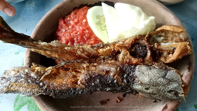 Ayam Penyet, Pecal Lele Padang Jawa - catfish
