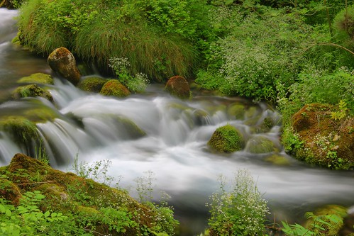 italy motion water creek stream velvet piemonte motionblur ruscello cuneo piedmont hdr velvetwater roaschia ruscelloroaschia streamroaschia piedmontstream
