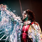 The Flaming Lips 40