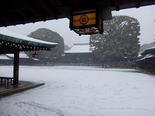 Meiji Shrine Snow Scene