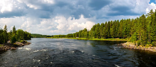 water forest sweden rapids västerbotten