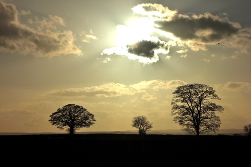 trees sunset england sky clouds yorkshire a1