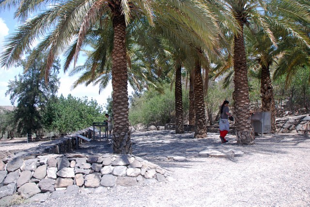 Yacimiento arqueológico de Bet She'an,, Guias-Israel (3)