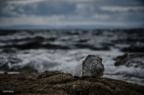 seascape beach scotland rocks shell prestwick ayrshire firthofclyde nikond7000 afsnikkor18105mm13556g bgdl lightroom5 captureyour365 cy365