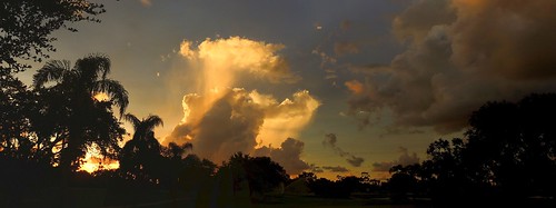 pink blue sunset red summer wallpaper sky panorama orange storm color tree rain weather silhouette yellow night clouds landscape evening nikon flickr florida pano palm coolpix showers thunder bradenton p510 mullhaupt jimmullhaupt