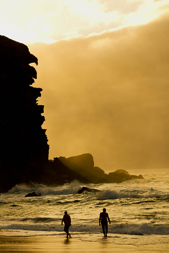ocean sea beach silhouette sunrise gold dawn golden sand redhead