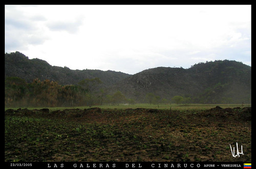 paisajes landscape venezuela events places caminos viajes fotografia montañas postales sabana apure pedrocamejo montaã±as cinarucocapanaparo viajealosllanos galerasdelcinaruco