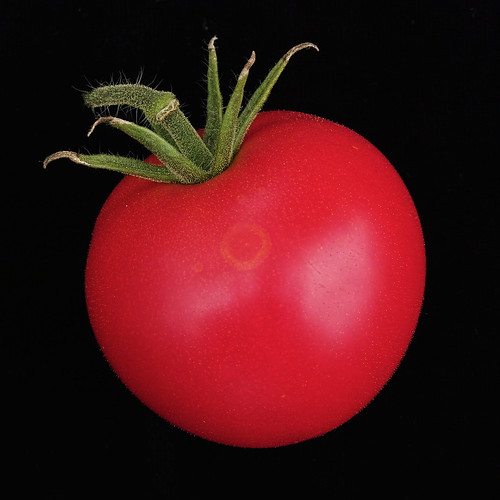 DP2M3705  Tomato from the Dacha Garden