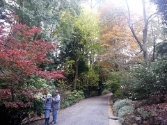 Autumn colours in the Alfred Nicholas gardens