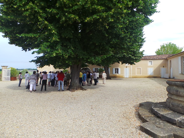wine tour, Chaeau Climens, Bordeaux June 9, 2014 010