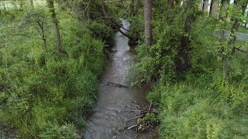 creek virginia scenery marion va