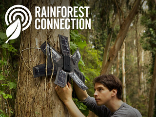 rainforest connection（圖片來源：Green Inside）