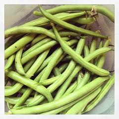               green beans