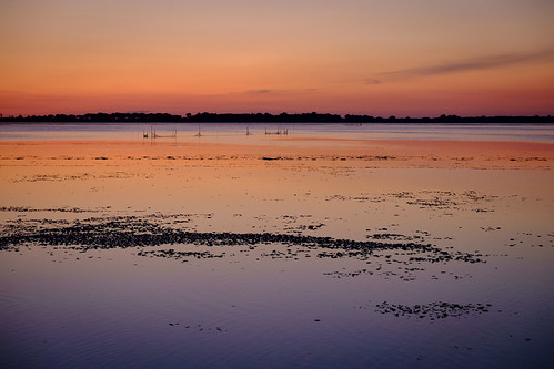 italia tramonto laguna toscana luce orbetello maremma argentario reti