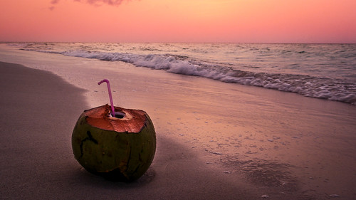 beach coconut cuba samsung varadero laplaya caribe matanzas lifeisabeach caribeanbeach coconutsunset playascubanas cubasunset cubanbeaches atardecercuba samsungnx1000 samsung2050mmf3556ediinx