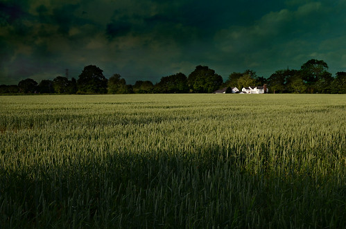house corn cheshire farm wheat edge crop wilmslow alderley chelford