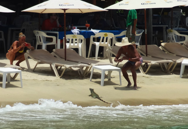 iguana-beach off the beaten path