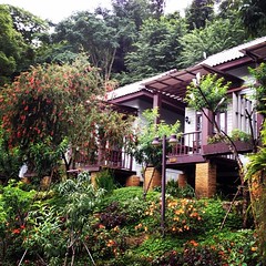 Doi Inthanon Accommodations...possibly setting records for most flowers per square inch. #thailand #thailandacademy