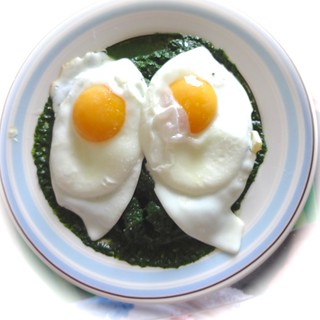 Variations on eggs with spinach