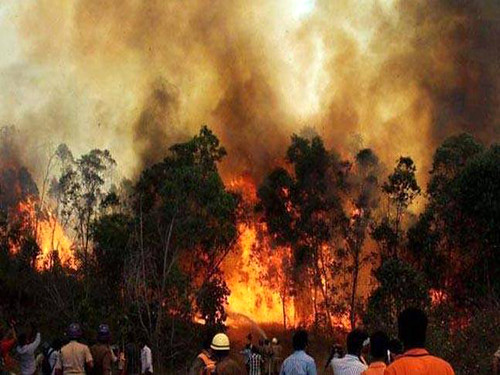 लापरवाही के कारण उत्तराखण्ड के जंगलों में लगती आग
