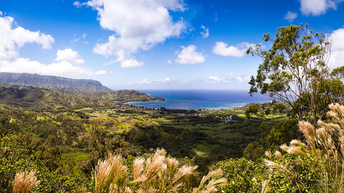 grass kauai natureview travelphotography woods water day bracketing hills hawaii bracketed princeville hdr summer adventure hanaleivalleyoverlook amateurphotography landscapephotography stunning trail victoriapeak pacific view daylight landscape 35mm bushes handheld peaceful hotweather panorama sand amazing naturephotography paradise canoneos6d sea viewingpoint scenery beautiful clouds nature canonef1635mmf4lisusm jungle rainforest beach usa iso200 trees tree