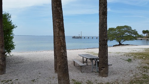 picnicisland tampa tampabay florida lovefl bench benchmonday park discgolf sand beach shore water trees landscape dock pier