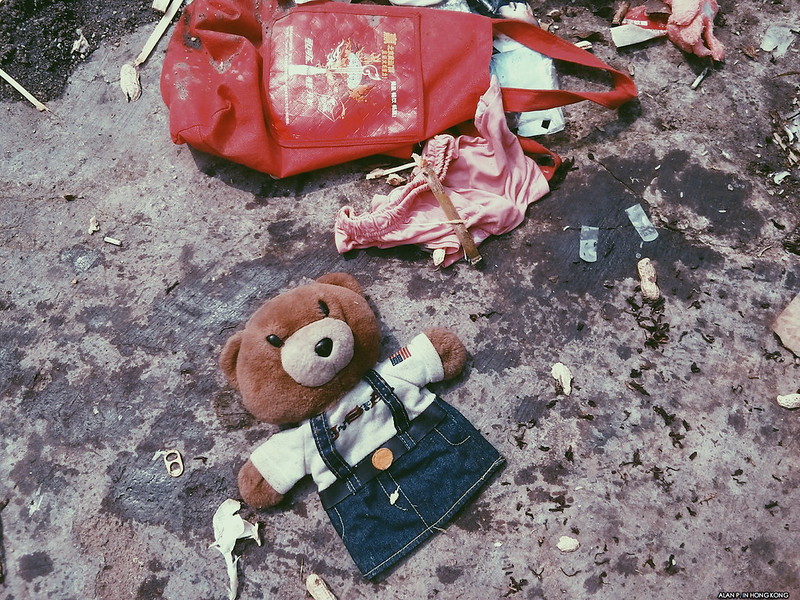 Dumped Teddy