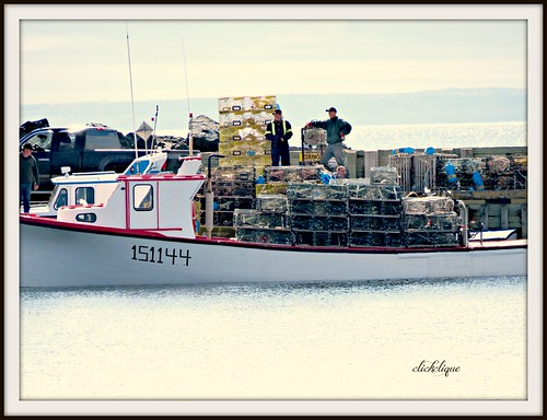 boats fishing wharf lobster quai traps loading petitrocher