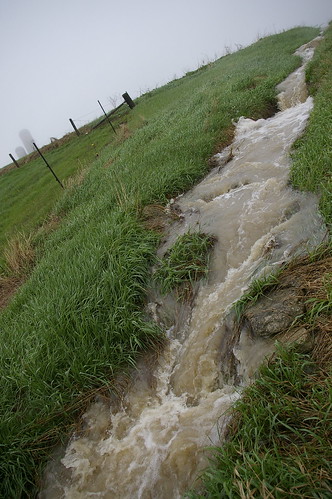 field rain spring flooding ditch farm may friday tgif runoff brucecounty sooc
