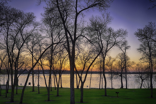 park trees sunset sky lake alexandria