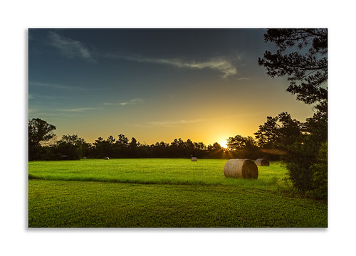 morning trees sun field grass sunrise landscape dawn texas unitedstates straw round flare sunburst hay bales tomball