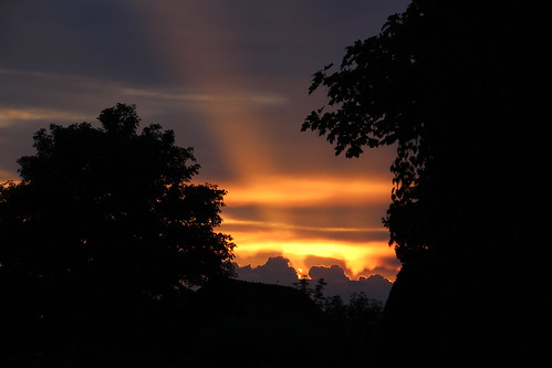 sunset sky nature silhouette clouds canon austria countryside österreich sonnenuntergang horizon natur himmel wolken redsky landschaft niederösterreich horizont waldviertel afterglow abendrot loweraustria woodquarter eos600d tamron18270mmf3563diiivcpzd